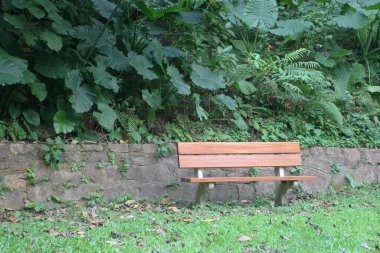  Parkın karanlık bir bölgesinde çimenlerin üzerinde ahşap banklar.