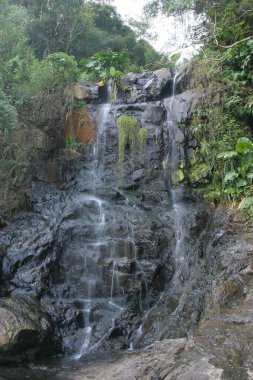 Zirvedeki güzel şelale, Hong Kong