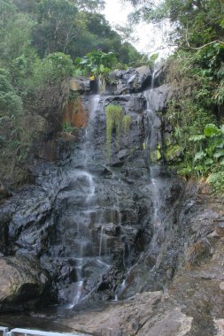 Zirvedeki güzel şelale, Hong Kong
