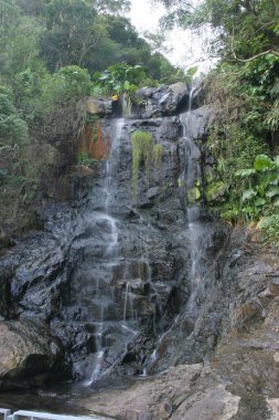 Zirvedeki güzel şelale, Hong Kong