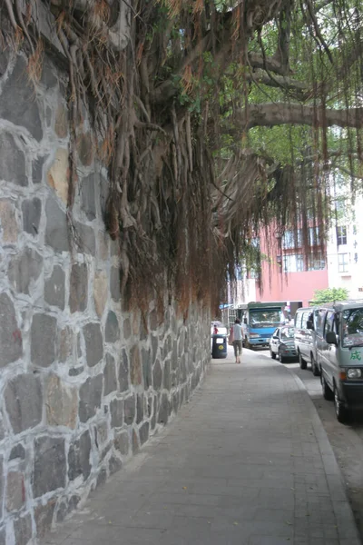 Juli 2005 Mauerwerk Bäume Hollywood Road Sheung Wan Ziegelmauer Mit — Stockfoto