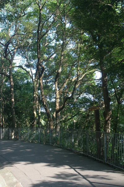 Luglio 2005 Vista Sulla Natura Picco Hong Kong — Foto Stock