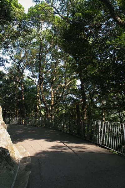 Juli 2005 Natuur Uitzicht Piek Hong Kong — Stockfoto