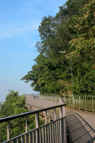 Июля 2005 Lugard Road Daytime Victoria Peak Hong Kong — стоковое фото