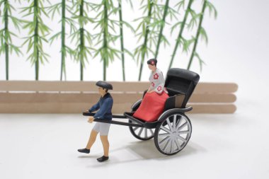 Geleneksel Japon Kimonosu ve Rickshaw giyip Bambu 'yu gezmek için.