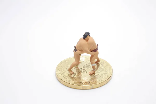 the mini Sumo fight at the bit coin