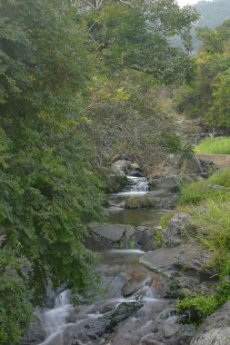 Tko 'daki küçük Hawaii patikasına bir su düştü.