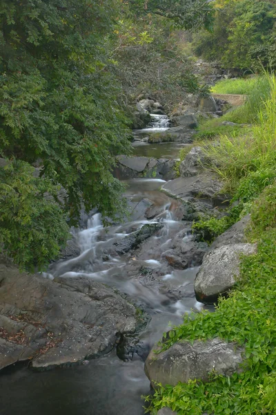 Uma Queda Água Little Hawaii Trail Tko — Fotografia de Stock