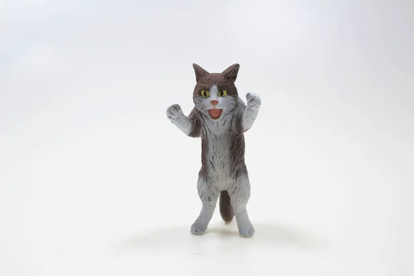 Figura Divertida Gato Blanco Con Expresión Sorprendida Cara — Foto de Stock