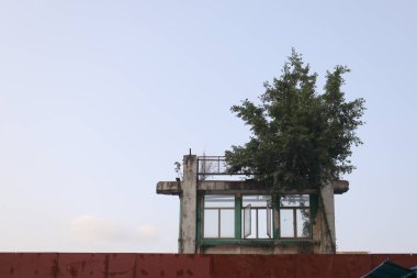 27 Mart 2021 Harabelerin üzerindeki pencere çerçevesi, hk