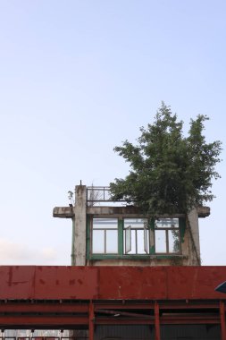 27 Mart 2021 Harabelerin üzerindeki pencere çerçevesi, hk