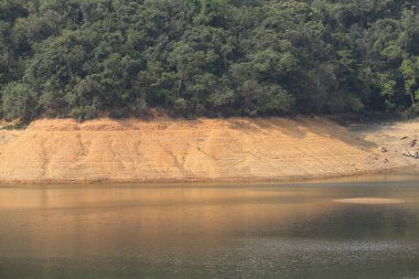 Kam Shan Country Park 'ın manzarası, hk