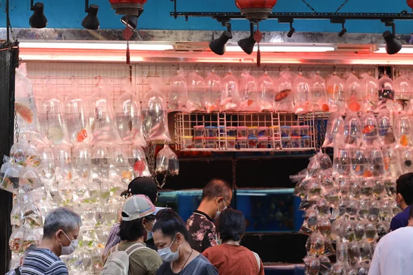 2021年4月23日香港旺角金鱼市场 — 图库照片