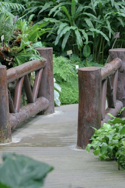 Небольшой Парк Деревянным Мостом Прудом — стоковое фото