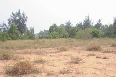 the Tsiu Hang Natural Trail at hong kong