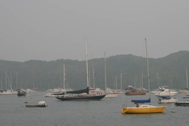 view of Hebe Haven large boat parking near sea coast 16 oct 2006 