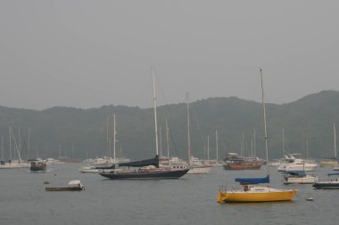 view of Hebe Haven large boat parking near sea coast 16 oct 2006 