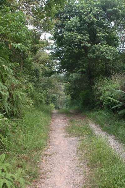 Path Tsiu Hang Nature Trail Sai Kung — Foto de Stock