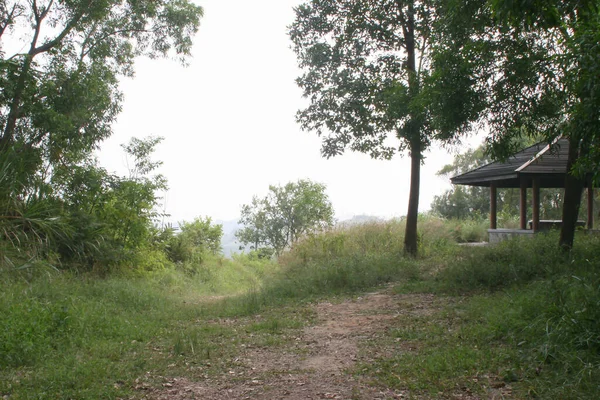 Landscape Tsiu Hang Natural Trail — Foto Stock