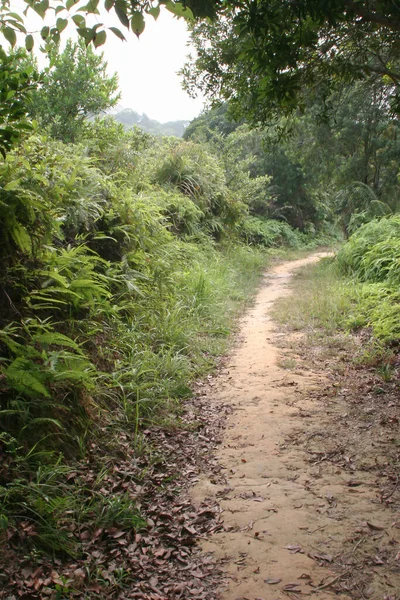 Path Tsiu Hang Nature Trail Sai Kung — Foto Stock