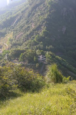 Hong Kong, Wilson Yolu No: 3 'teki yeşil tepe.