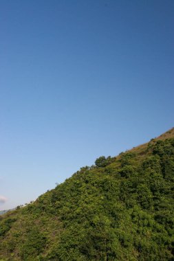 Hong Kong, Wilson Yolu No: 3 'teki yeşil tepe.