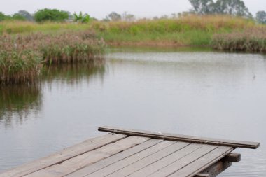 13 Kasım 2005 'te Nam Sang Wai adlı bir gölde bir iskelede.