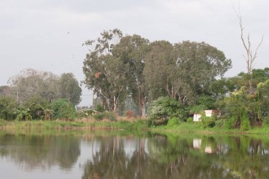 13 Kasım 2005 'te Nam Sang Wai Yuen' de., 