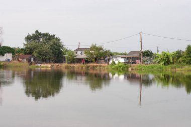 13 Kasım 2005 'te Nam Sang Wai Yuen' de., 