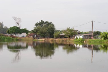 13 Kasım 2005 'te Nam Sang Wai Yuen' de., 