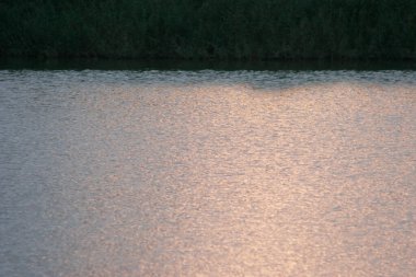 13 Kasım 2005 Deniz Dalgası Gün batımında, doğa arka planında