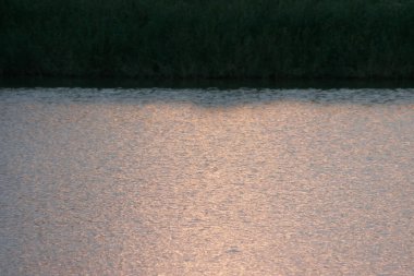 13 Kasım 2005 Deniz Dalgası Gün batımında, doğa arka planında