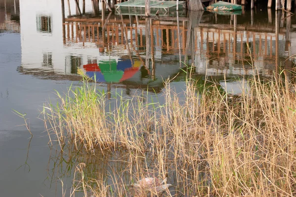 Nov 2005 Fiskdammen Vid Nam Sjöng Wai Yuen Lång — Stockfoto