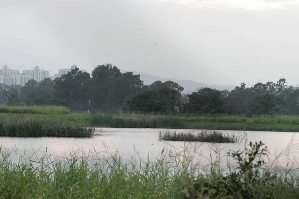 November 2005 Våtmarken Vid Nam Sang Wai Yuen Long — Stockfoto