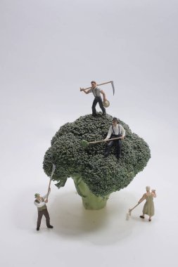 Brokoli hasadındaki küçük çiftçi.