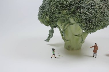 Mini figür yağmurdan korunak, büyük brokoli.