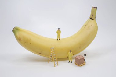 Mini karaborsadan muz almış.