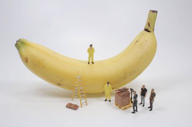 Mini karaborsadan muz almış.