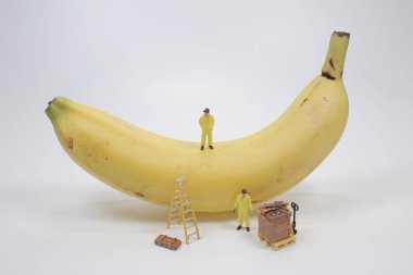 Mini karaborsadan muz almış.