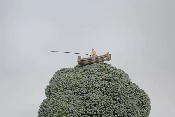 ブロッコリーの花とおもちゃのボートと図の男 — ストック写真