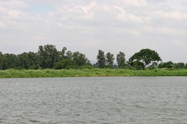 Shan Pui Tsuen 'deki balık havuzu, yuen long hong kon