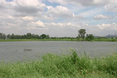 Shan Pui Tsuen 'deki balık havuzu, Yuen long HK