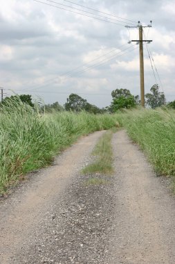 17 Eylül 2005 Shan Pui Tsuen, Yuen Long Hong Kong 'da doğa yolu.