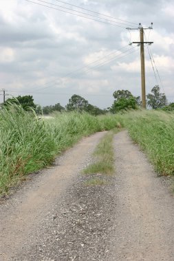 17 Eylül 2005 Shan Pui Tsuen, Yuen Long Hong Kong 'da doğa yolu.