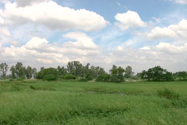 Shan Pui Tsuen 'e hoş geldiniz, Yuen long Hong Kong
