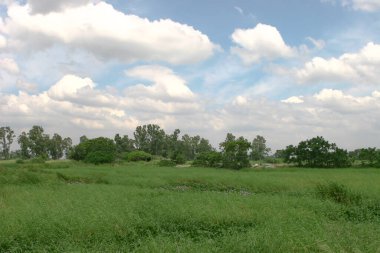 Shan Pui Tsuen 'e hoş geldiniz, Yuen long Hong Kong