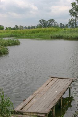the pier at pool,  Nam Sang Wai, Yuen Lon