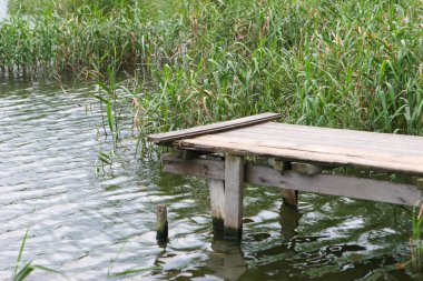 the pier at pool,  Nam Sang Wai, Yuen Lon