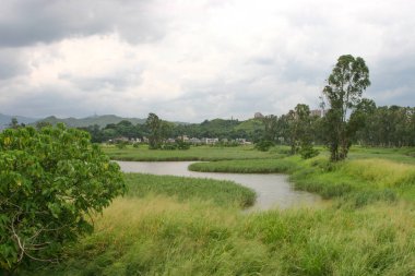 Wetland manzarası, Nam Sang Wai Hong Kong