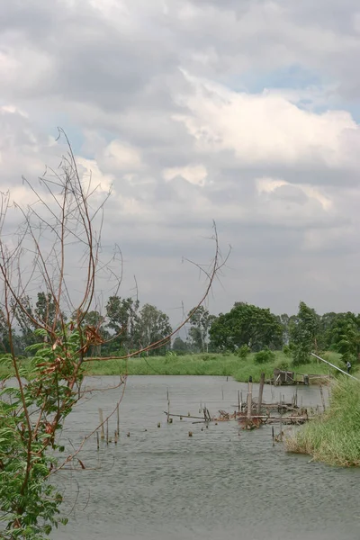 Der Fischteich Shan Pui Tsuen Yuen Long Hong Kon — Stockfoto